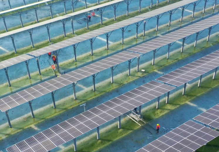 河北省玉田县：渔光互补项目发&ldquo;绿电&rdquo;