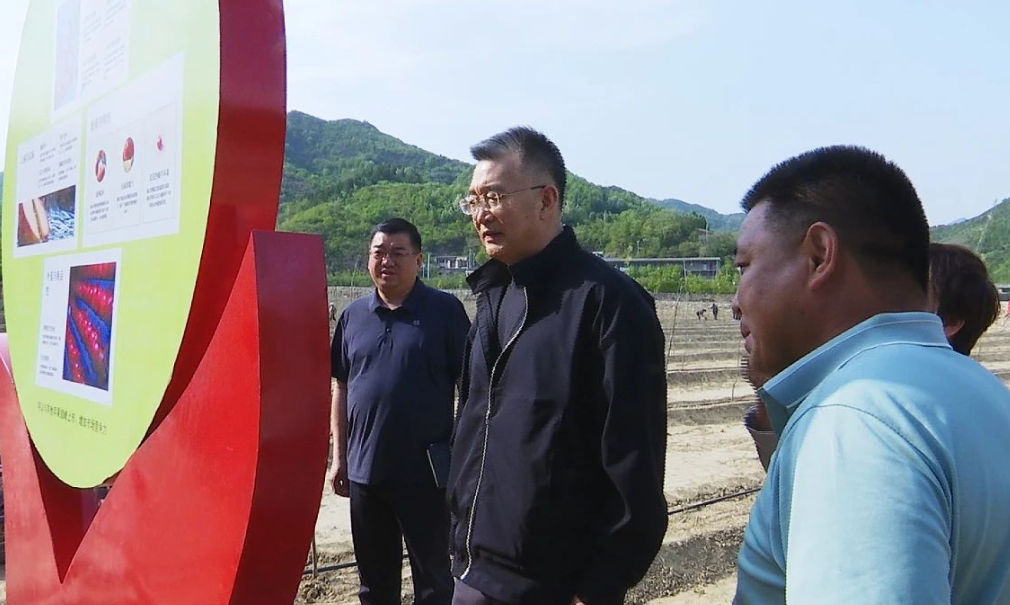 县委书记管志民调研&ldquo;五一&rdquo;期间文旅市场和苹果产业发展工作